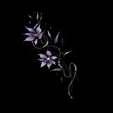 Untitled image