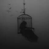 Untitled image