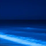 Untitled image