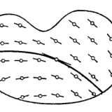 vector field