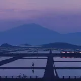122866150 p0