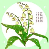 tutu Image Uploader 1759663905052