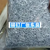 1000097856