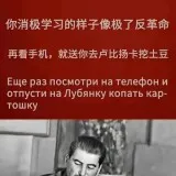 慈父n