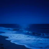 Untitled image