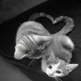 Untitled image