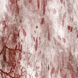 Untitled image