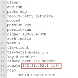 openvpn配置文件改ip和端口