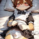 00019 2552436423