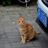 DSC 0398