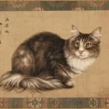 Cat3