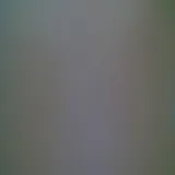 Untitled image