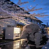 Untitled image