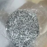1000086855