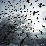 Untitled image
