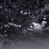 Untitled image