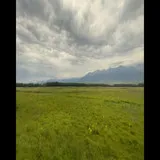 Untitled image