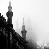 Untitled image