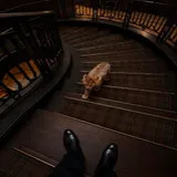 Untitled image