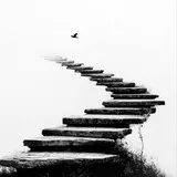 Untitled image