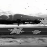 Untitled image