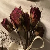 Untitled image