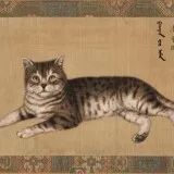 Cat4