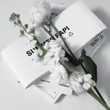 Untitled image