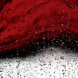 Untitled image