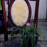DSC 0359