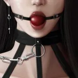灰姑娘的玻璃项圈