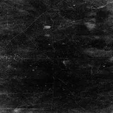 Untitled image
