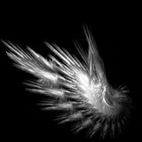 Untitled image