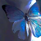 Untitled image