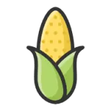 玉米