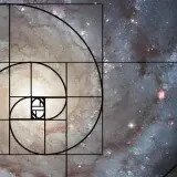 黄金螺旋2