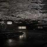 Untitled image