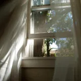 Untitled image