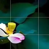 三分图1