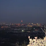 DSC 0524