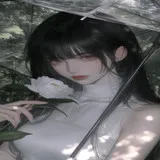 Untitled image