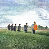 图片8