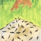 33