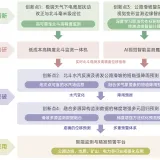 修图6
