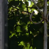 DSC 0356
