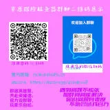 队伍群(带底色+大号版+适配服务器)