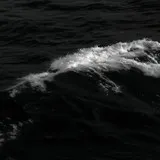 Untitled image