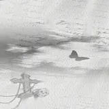 Untitled image