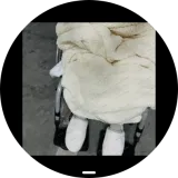 Screenshot 20260307 210042 sbrowser