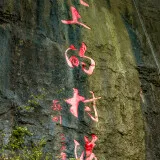 DSC73622510070139